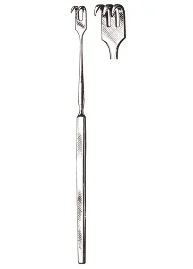 2 sharp prongs 6”