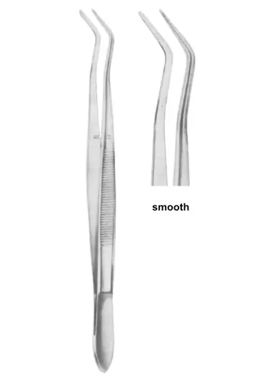 COLLEGE 15 cm