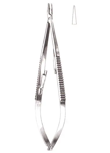 CRILE 6”