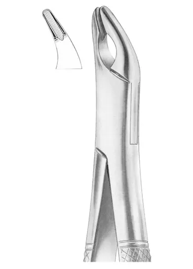CRYER Fig. 150A upper incisors,  premolars, roots
