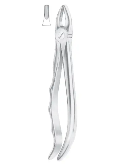Fig. 1 upper laterals and canines