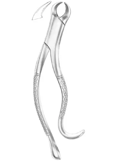 Fig. 16 lower molars