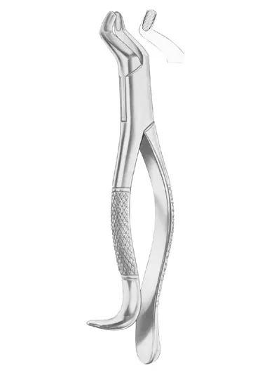 Fig. 210H upper third molars