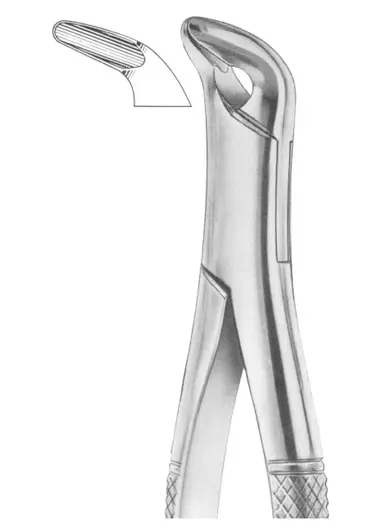 Fig. 34 lower anteriors  and roots