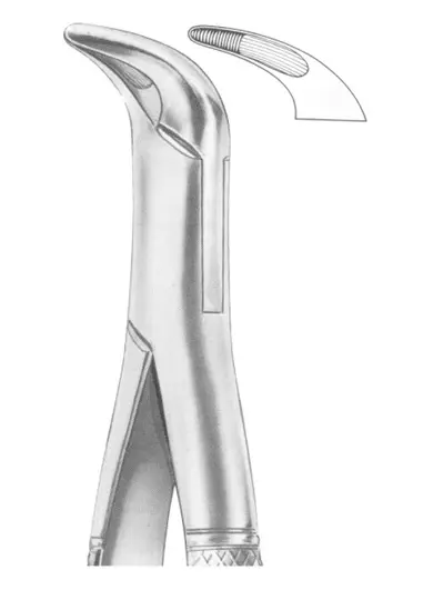 Fig. 37 lower anteriors and roots