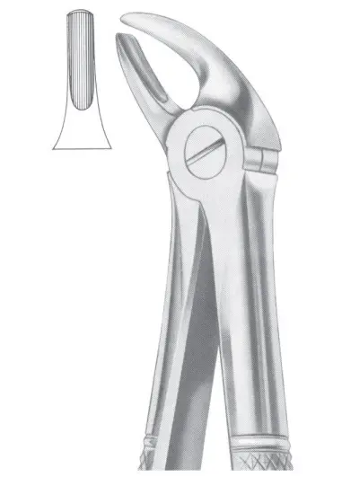 Fig. 4 upper incisors & canines