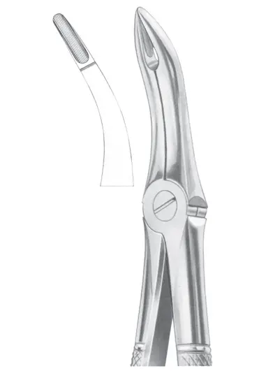 Fig. 48 lower roots