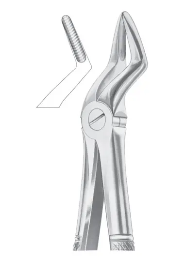 Fig. 52 upper roots