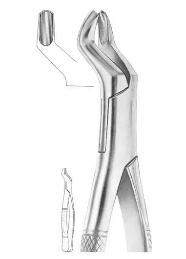 Fig. 53L upper molars left