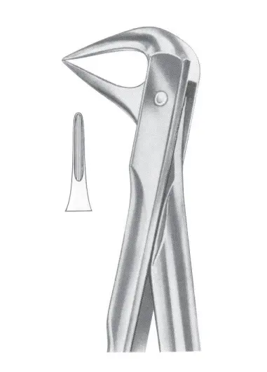 Fig.  74XN lower roots and crowded incisors