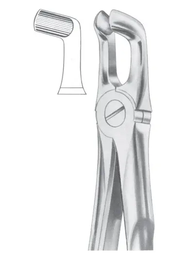 Fig.  76A lower third molars