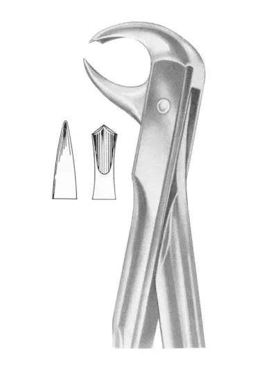 Fig.  99 1/4 lower molars