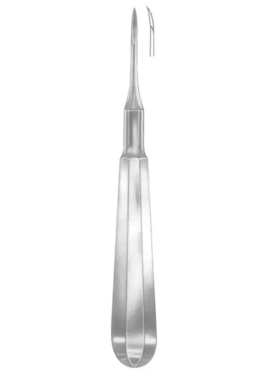 HEIDBRINK Fig. 1