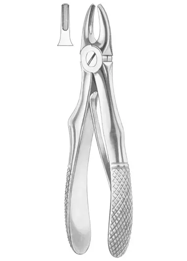 KLEIN (Fig.  217) upper incisors