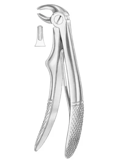 KLEIN (Fig.  221) lower incisors
