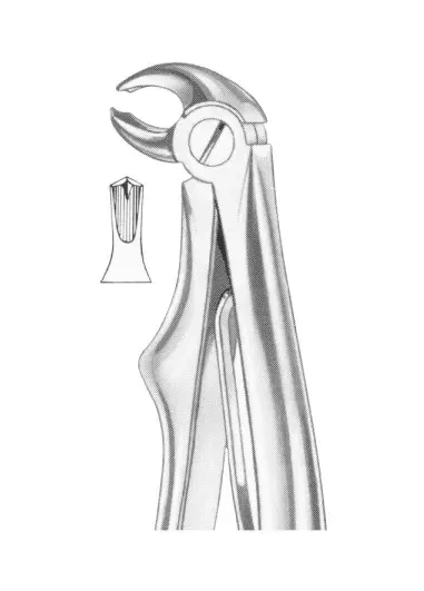 KLEIN (Fig.  222) lower molars