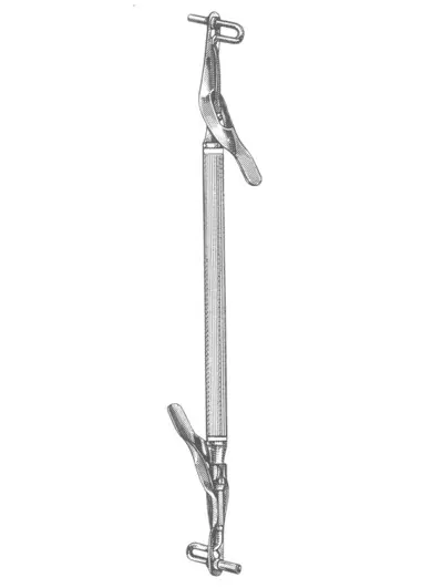Medium-Large  20 cm