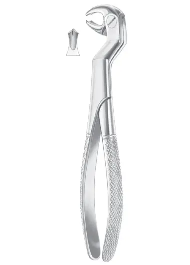 ROUTURIER (Fig. 212) ( 22 ½ L ) lower molars and wisdom left