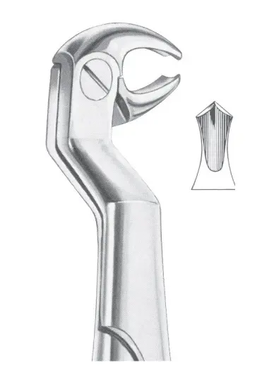 ROUTURIER (Fig. 213) ( 22 ½ R) lower molars and wisdom right