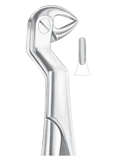 ROUTURIER (Fig. 215) ( 33 ½ R) lower molars and wisdom right