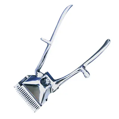 SCISSORS AND SHEARS